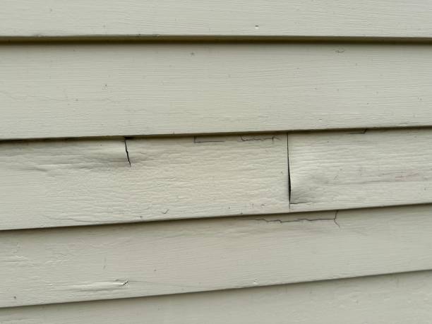 Best Historical Building Siding Restoration  in Oak Ridge North, TX